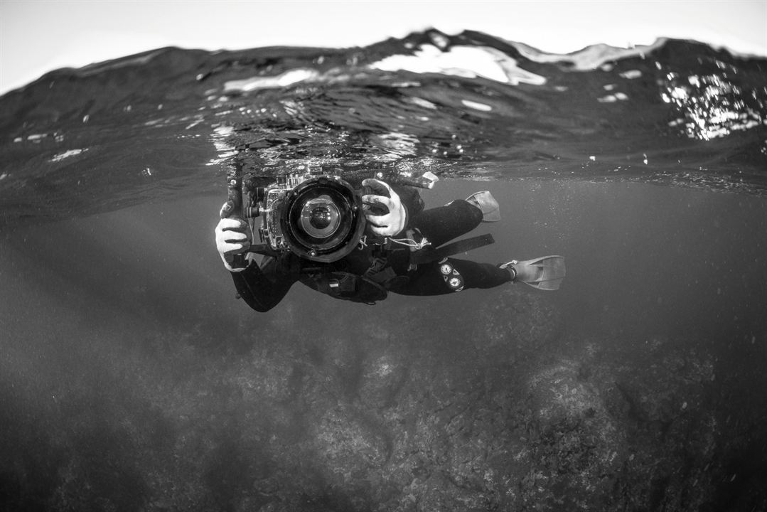 Haenyeo - A Força do Mar : Fotos