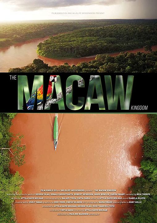 The Macaw Kingdom : Poster