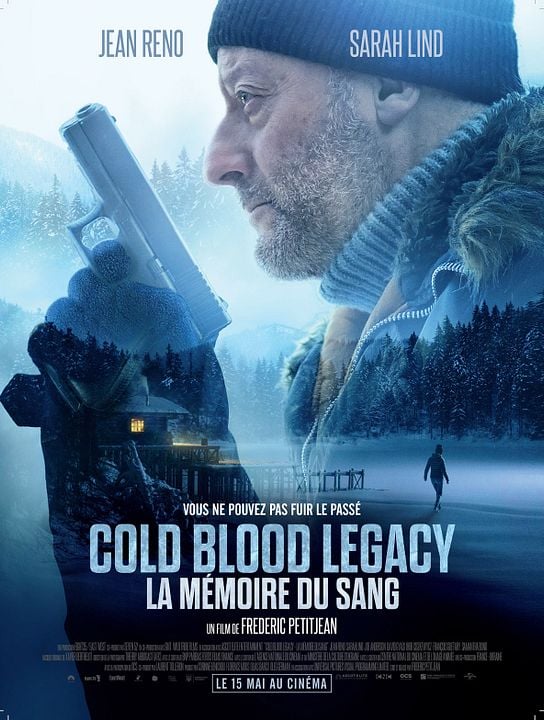 Vingança à Sangue Frio : Poster