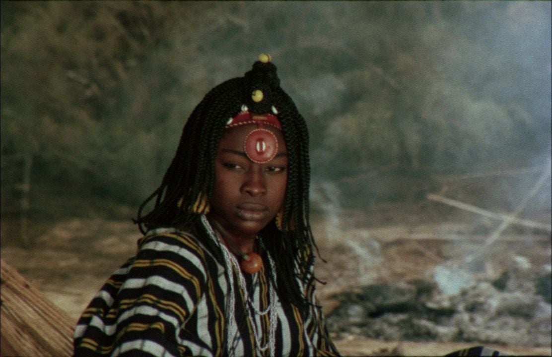 Camera d'Afrique (20 years of African Cinema) : Fotos