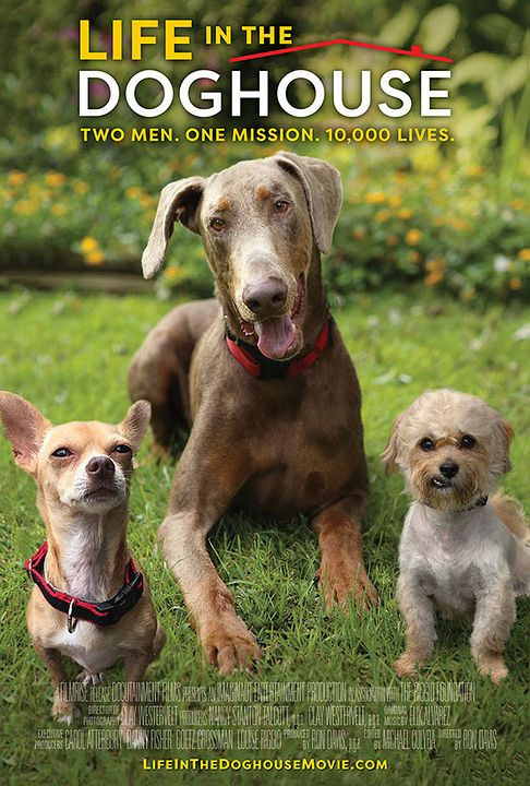 A Casa é dos Cachorros : Poster