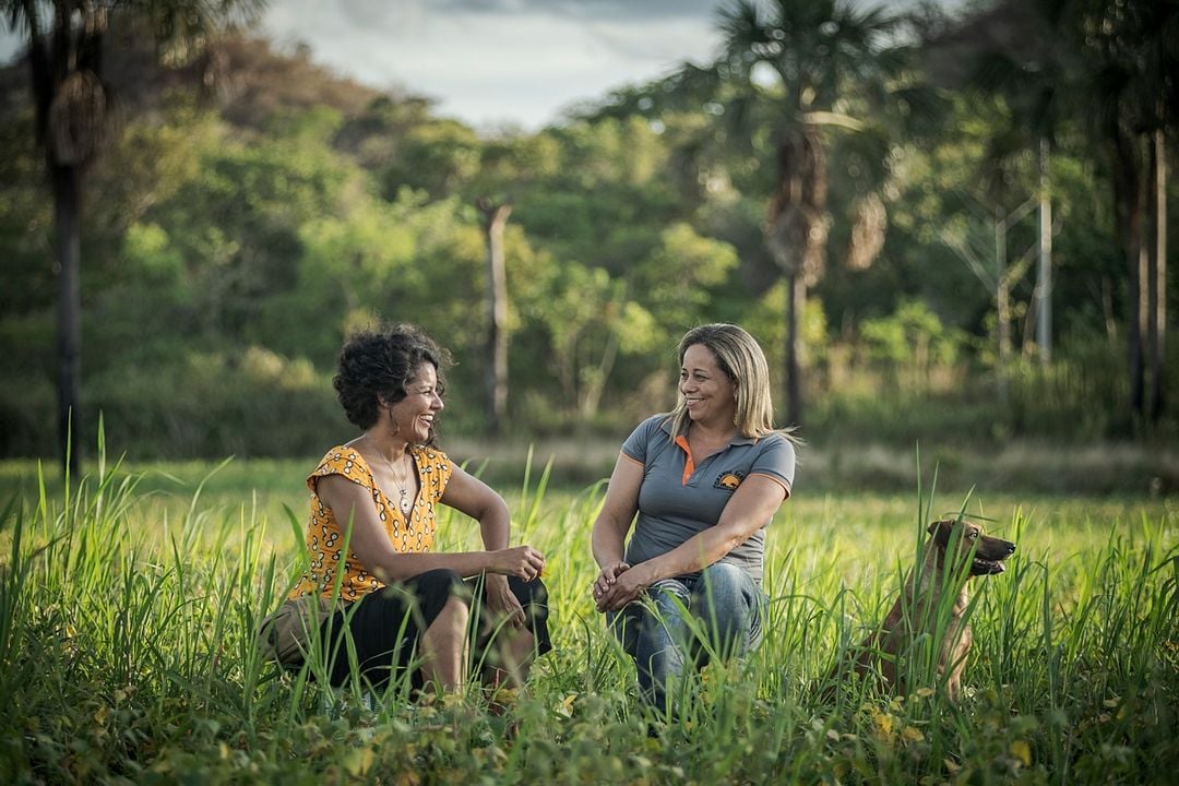 Sementes do Amanhã : Fotos