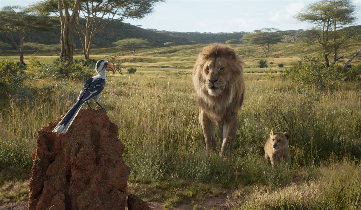 O Rei Leão : Fotos