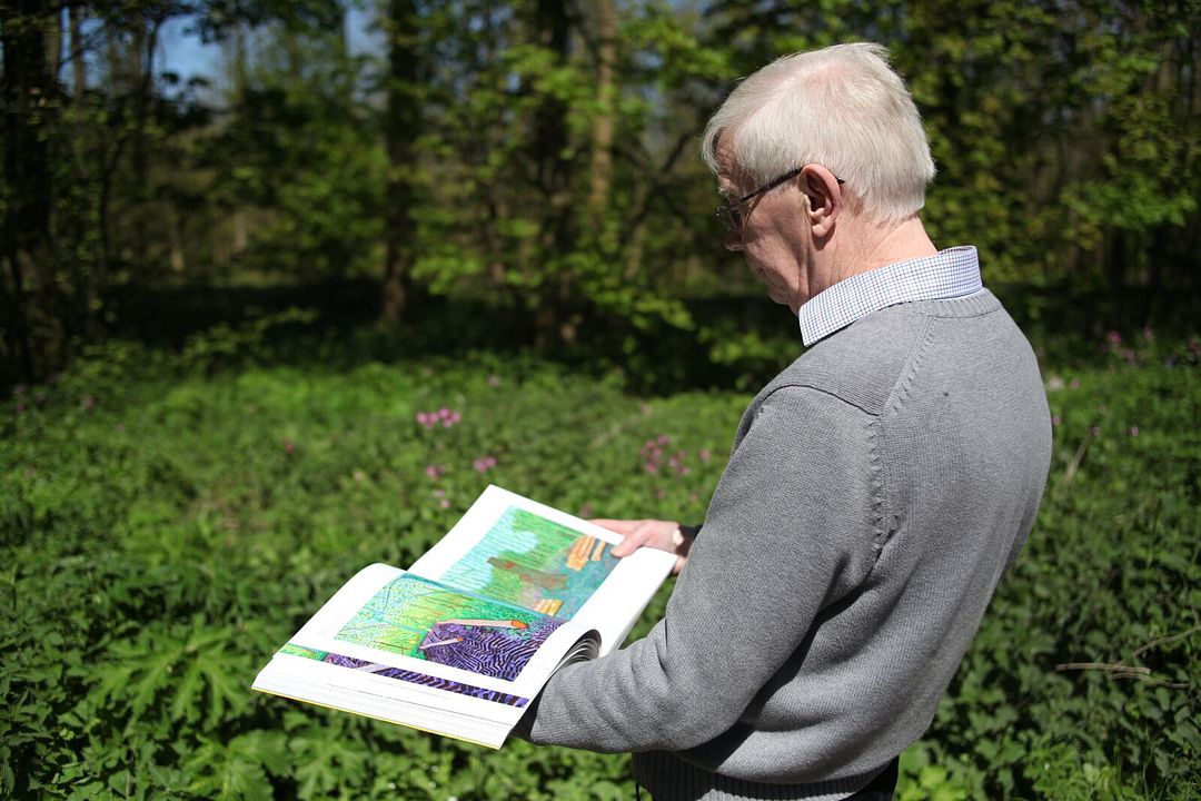 David Hockney - Tempo Recuperado : Fotos