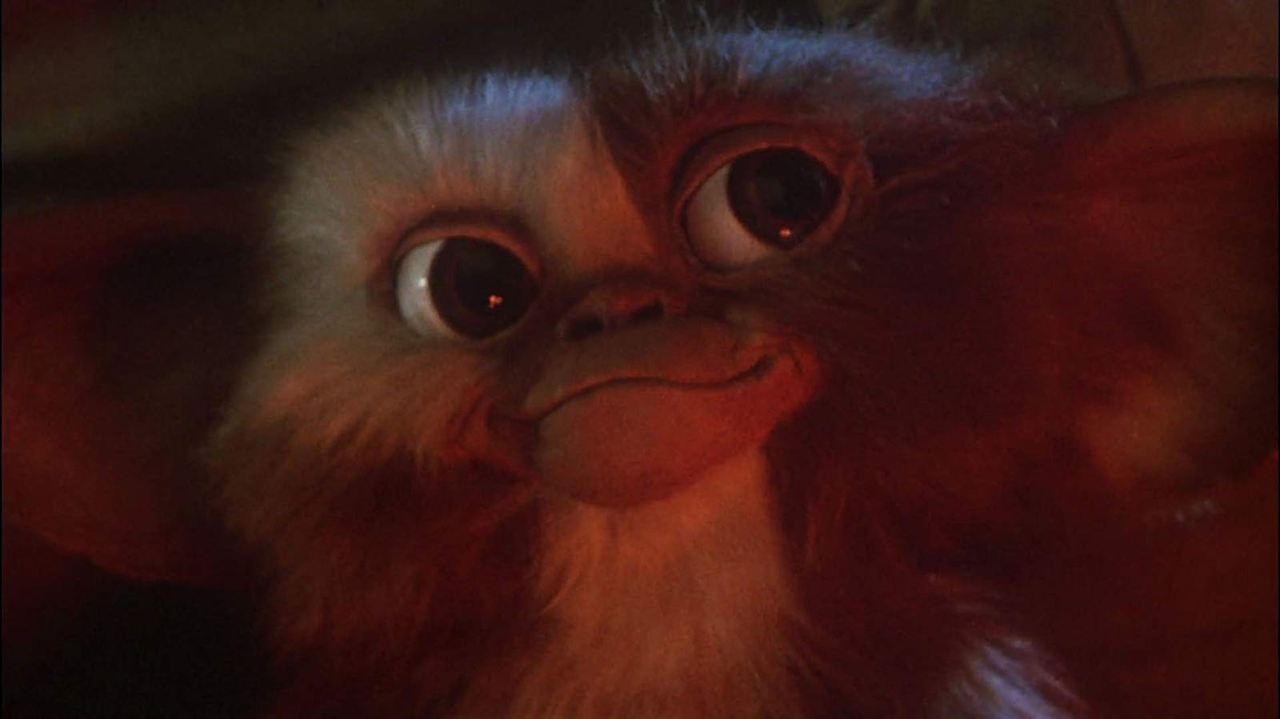 Gremlins : Fotos