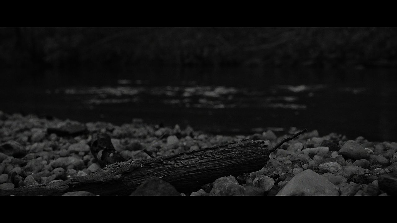 Estrangeiro : Fotos