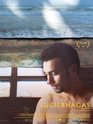 Luciérnagas : Poster