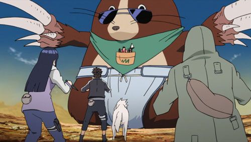 Naruto Shippuden : Fotos