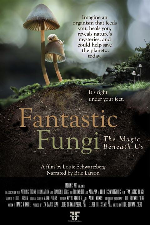 Fungos Fantásticos : Poster