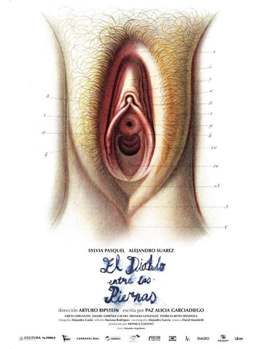 O Diabo Entre as Pernas : Poster
