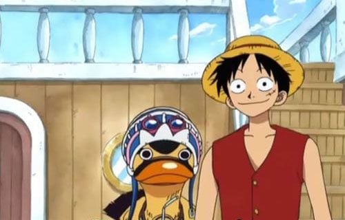 One Piece : Fotos