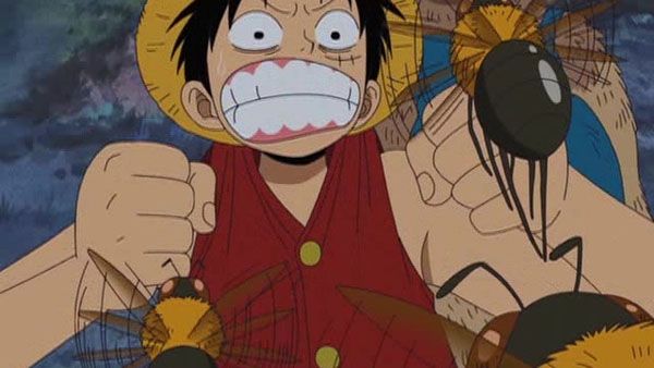 One Piece : Fotos