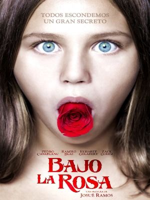 O Enigma da Rosa : Poster