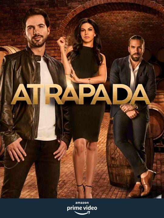 Atrapada : Poster