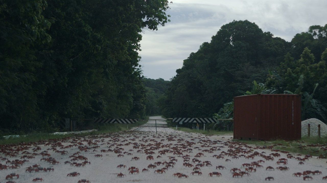 Island of the Hungry Ghosts : Fotos
