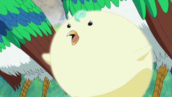 One Piece : Fotos