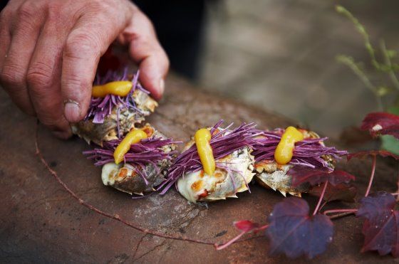 The Wandering Chef : Fotos