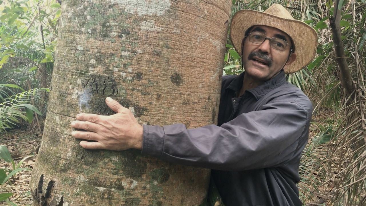 Ruivaldo, O Homem Que Salvou A Terra : Fotos