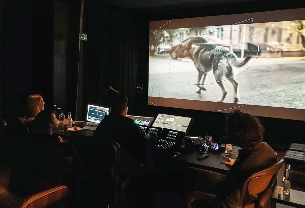 Cães do Espaço : Fotos