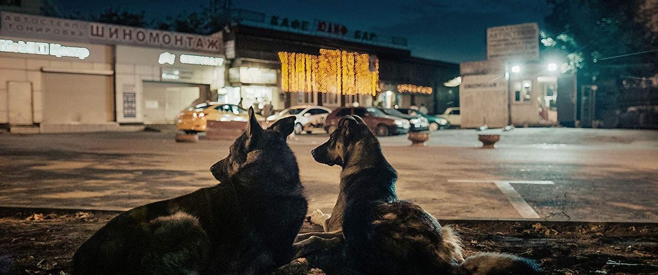 Cães do Espaço : Fotos