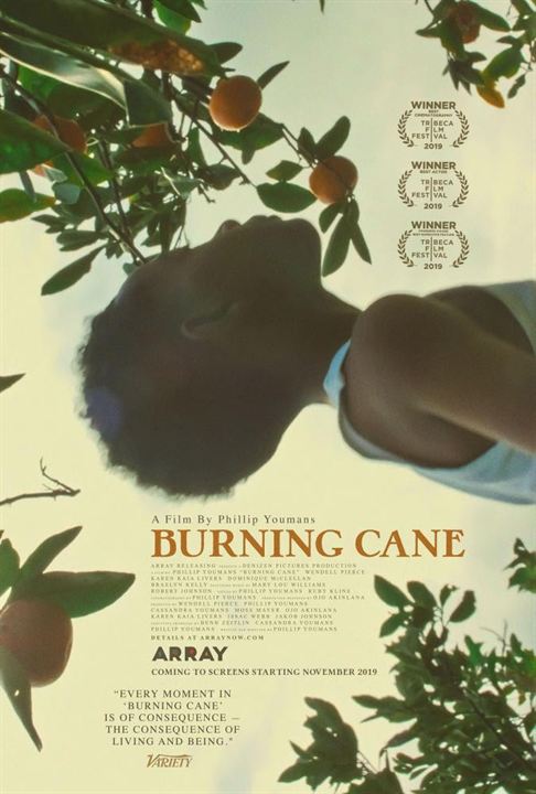 Burning Cane : Poster