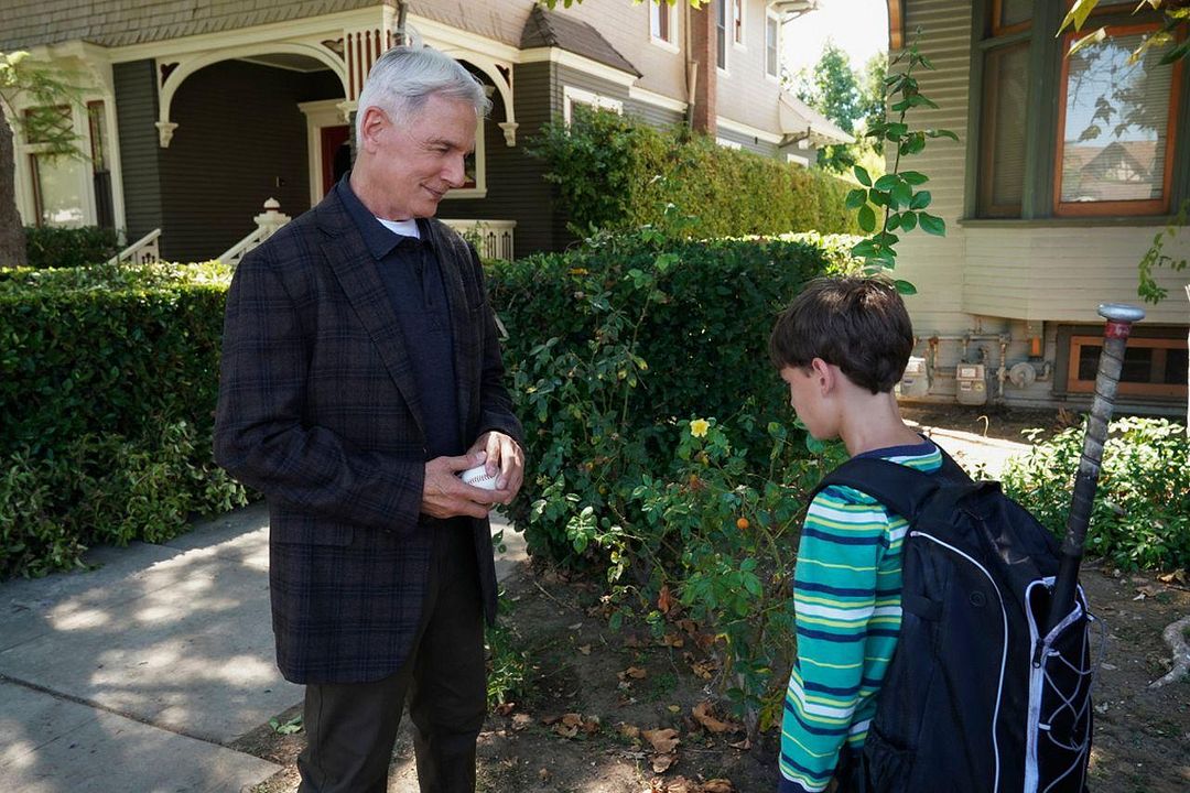 Fotos Mark Harmon