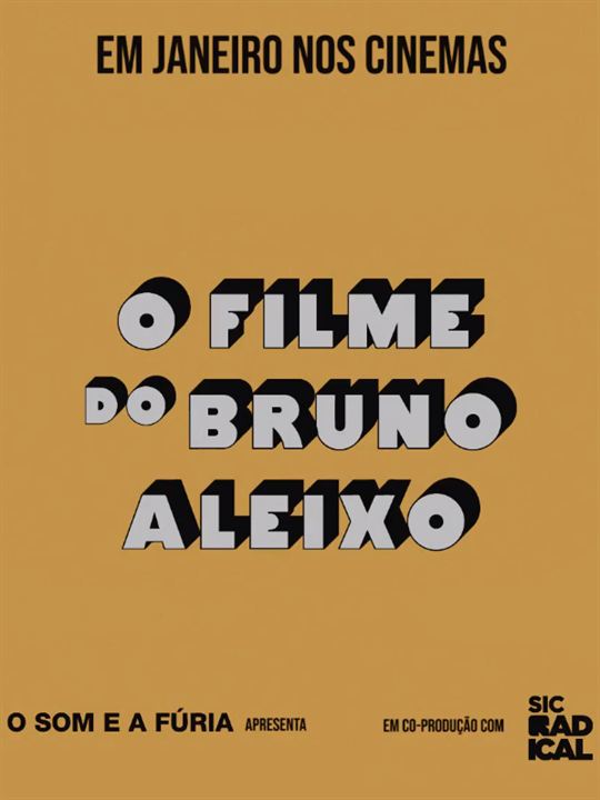 O Filme do Bruno Aleixo : Poster