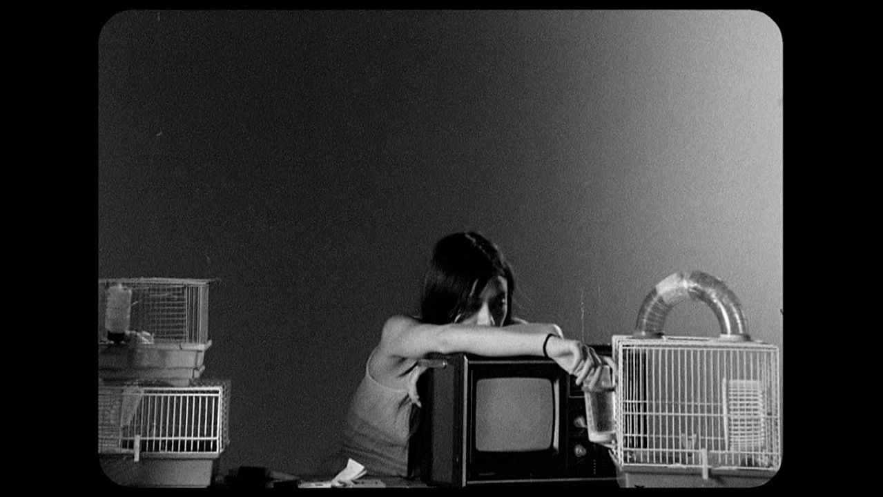 Cartas para Paul Morrissey : Fotos