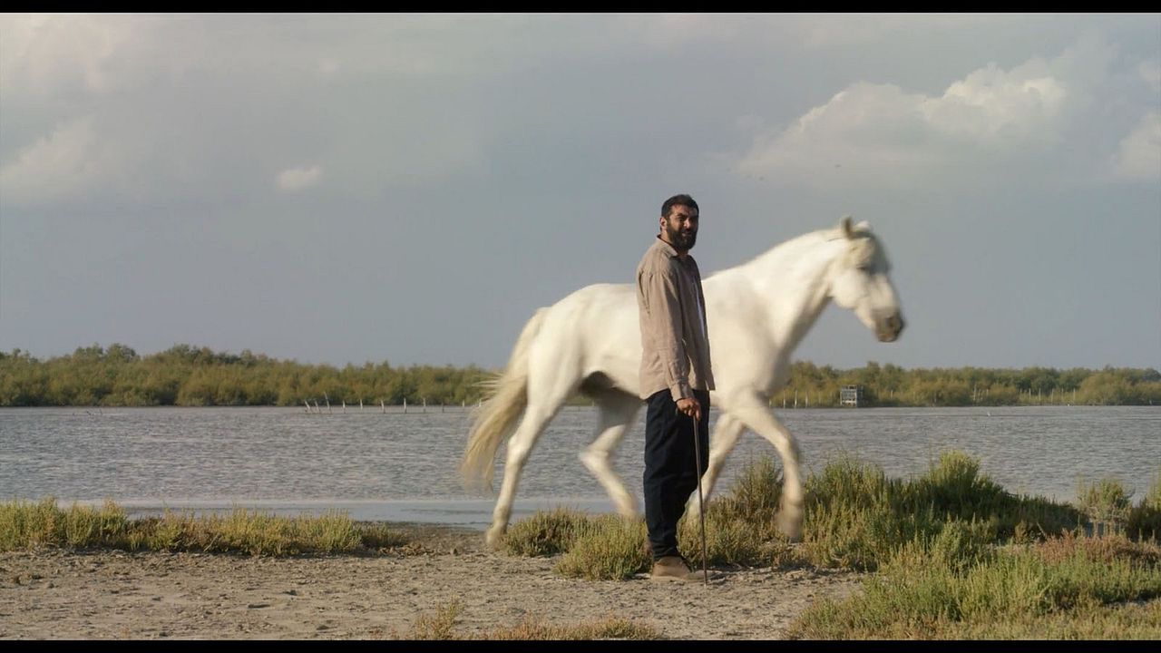 Terminal Sul - Luta pela Liberdade : Fotos Ramzy Bedia