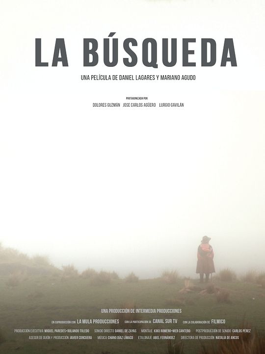 La Búsqueda : Poster
