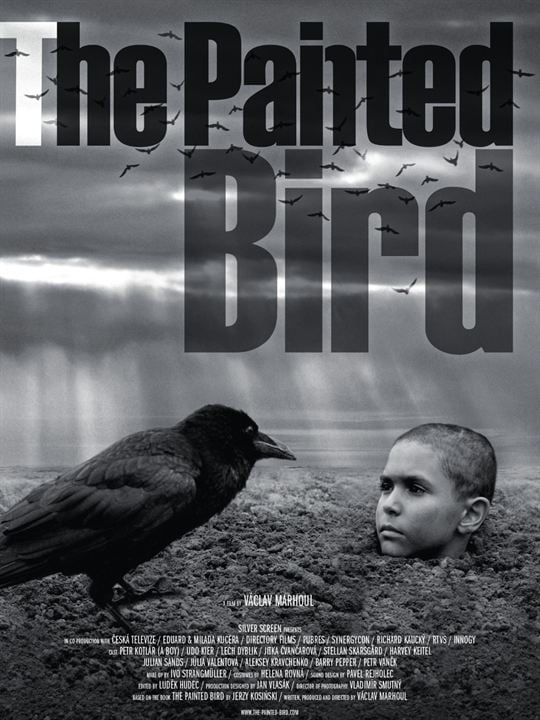 O Pássaro Pintado : Poster