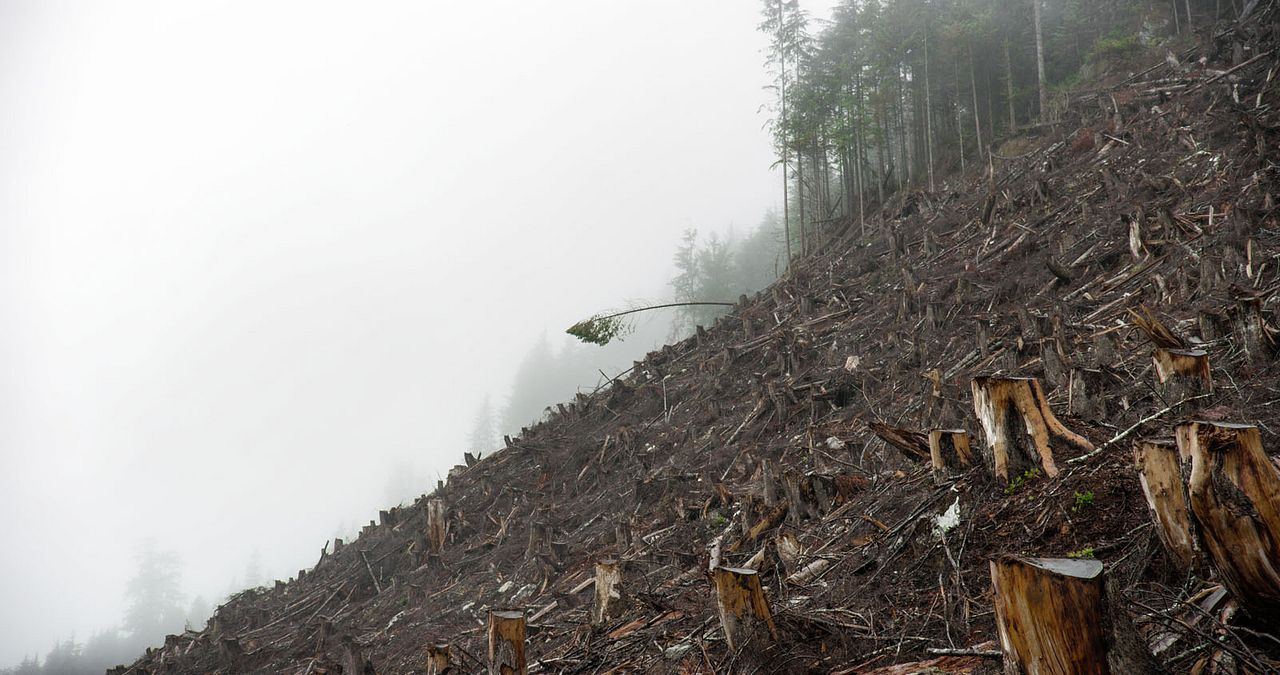 Anthropocene: The Human Epoch : Fotos