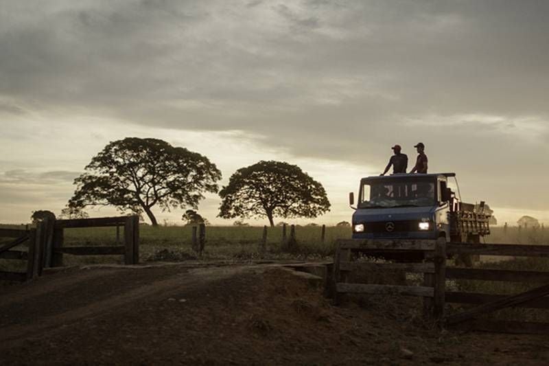 Querência : Fotos