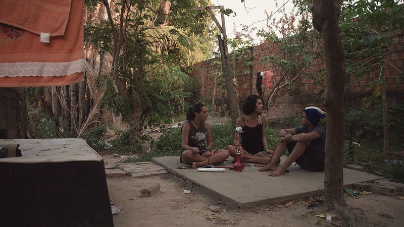 Transamazonia : Fotos