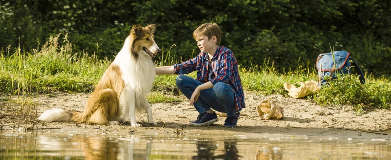 Lassie: De Volta Para Casa : Fotos Nico Marischka