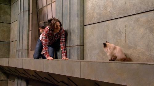 iCarly : Poster
