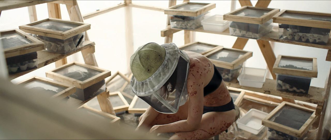 A Nuvem : Fotos Suliane Brahim