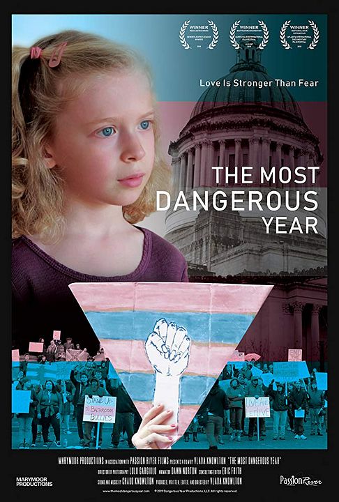 The Most Dangerous Year : Poster