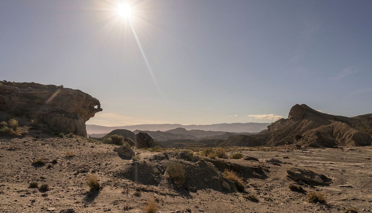 Vis a Vis: El Oasis : Fotos