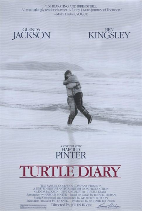 Turtle Diary : Poster