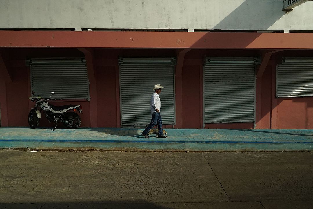 Perro : Fotos