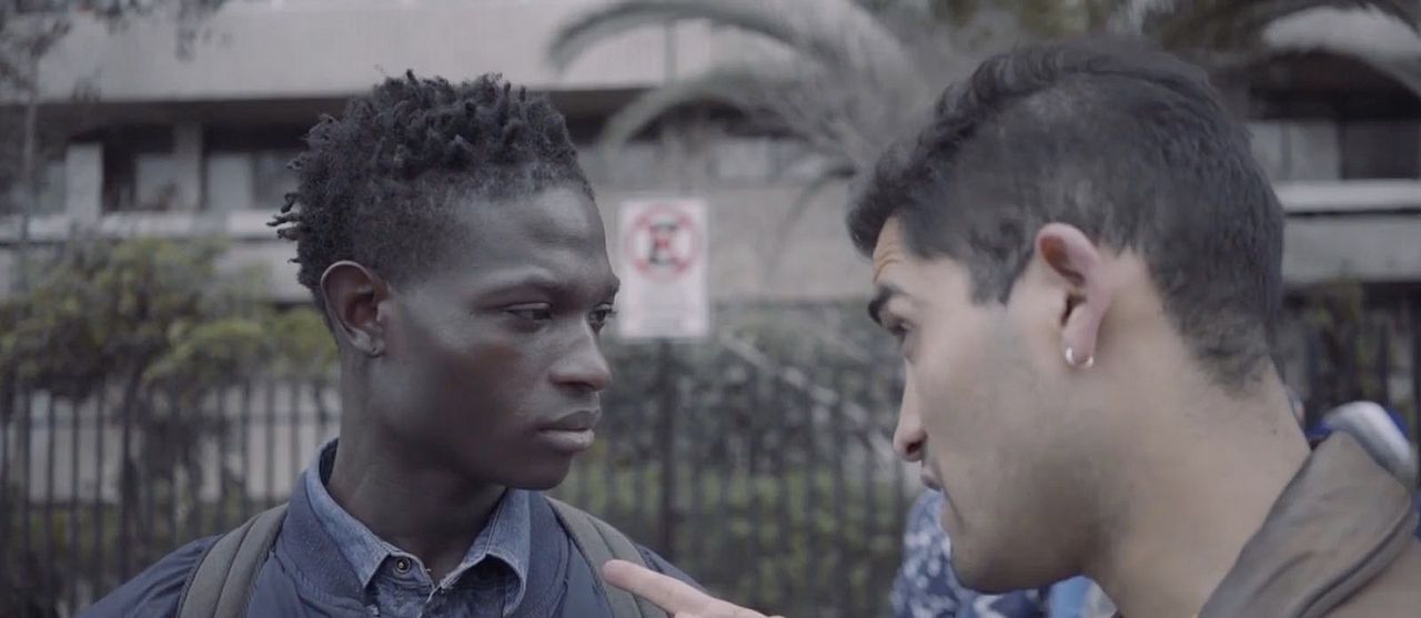 Perro Bomba : Fotos Steevens Benjamin