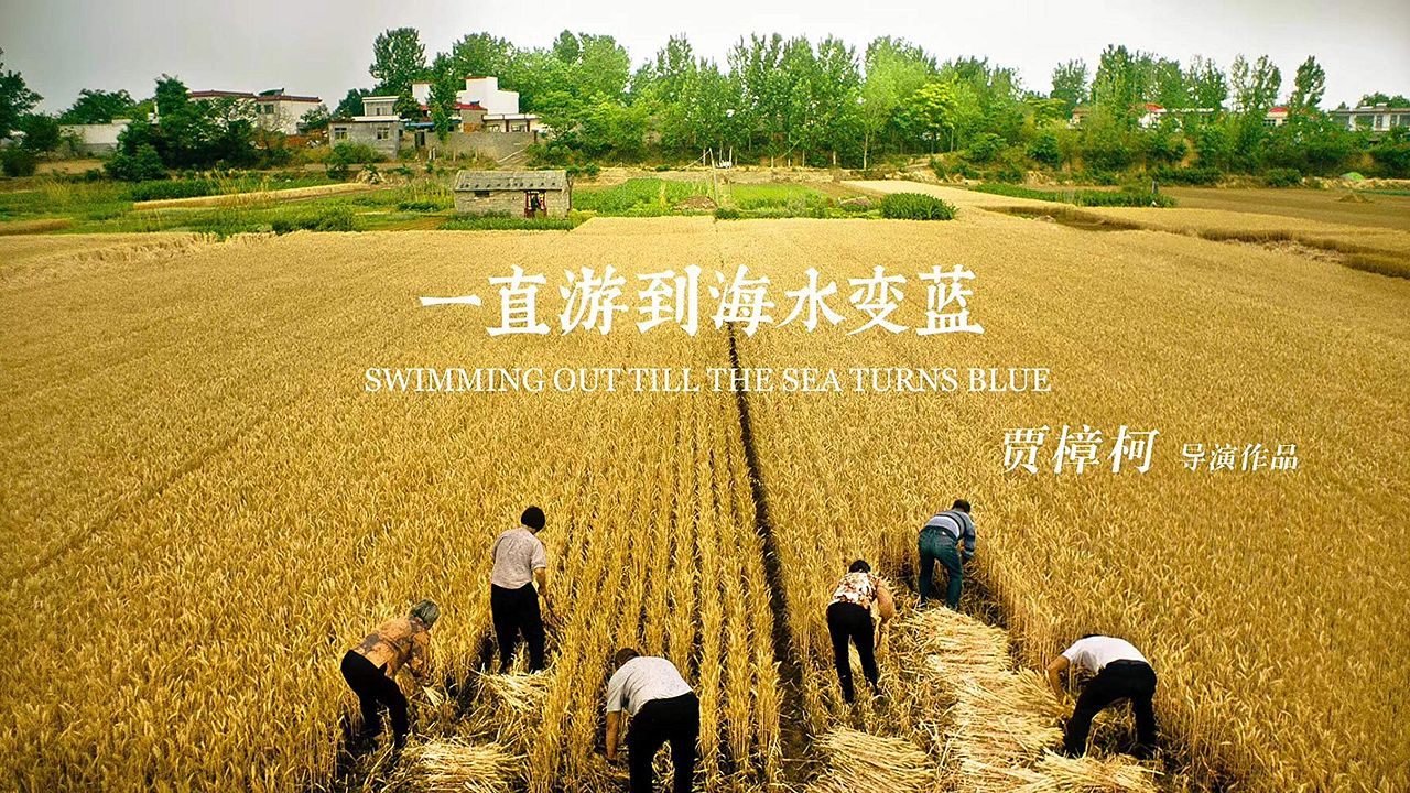 Yi Ge Cun Zhuang De Wen Xue : Poster