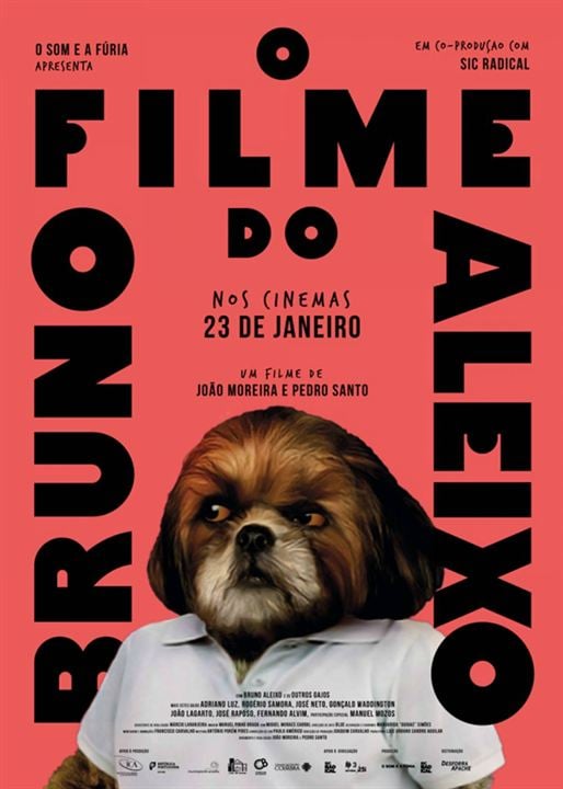 O Filme do Bruno Aleixo : Poster