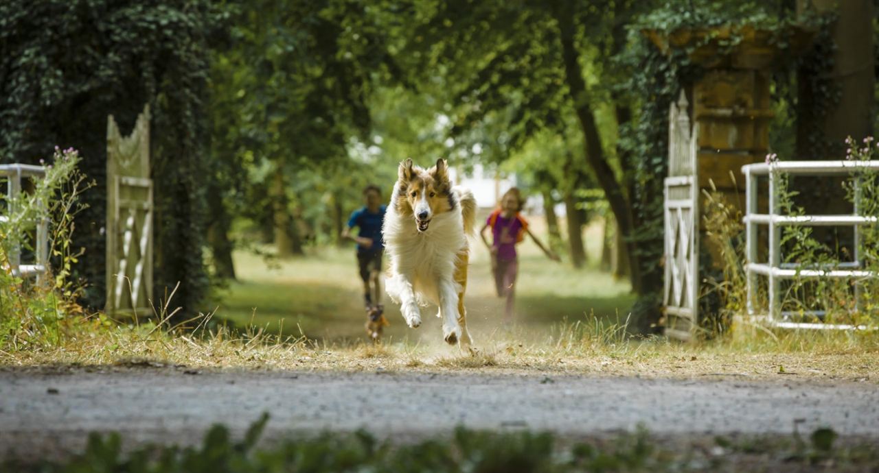 Lassie: De Volta Para Casa : Fotos