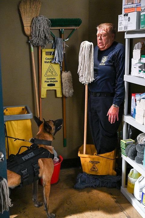 Brooklyn Nine-Nine : Fotos Joel McKinnon Miller