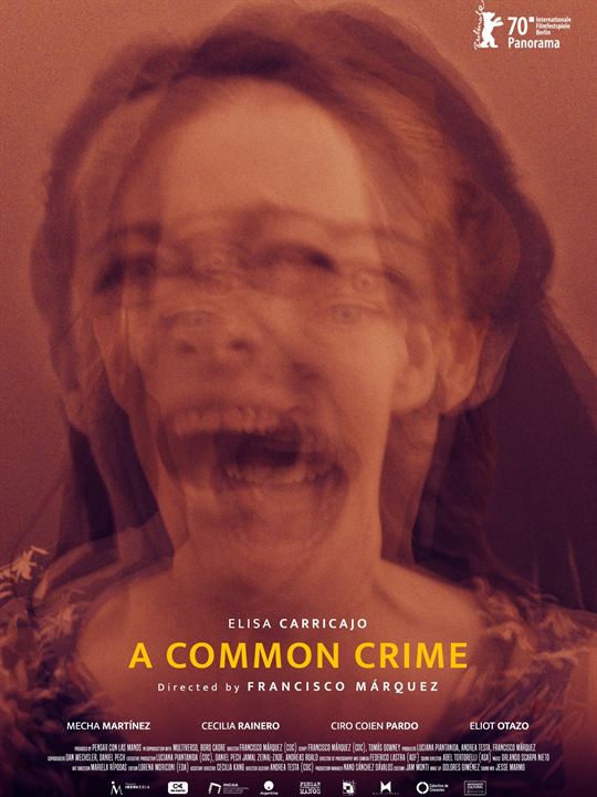 Um Crime em Comum : Poster