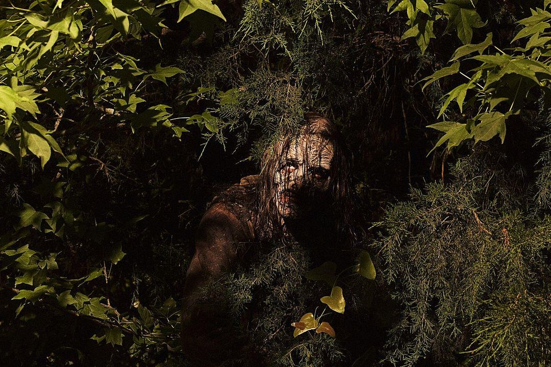 The Walking Dead : Fotos