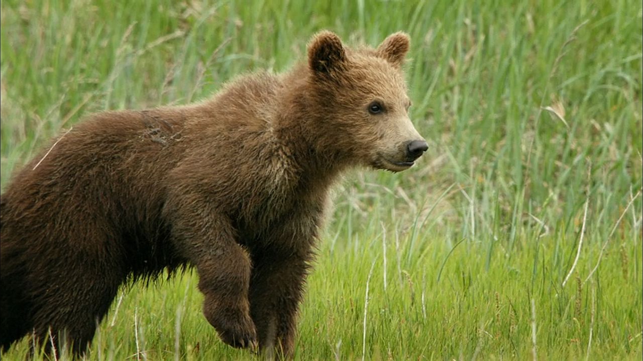 Crescendo Livres : Fotos