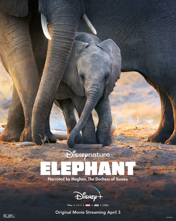 Elephant : Poster